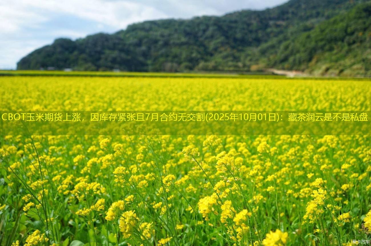 CBOT玉米期货上涨，因库存紧张且7月合约无交割(2025年10月01日)：藏茶润云是不是私盘