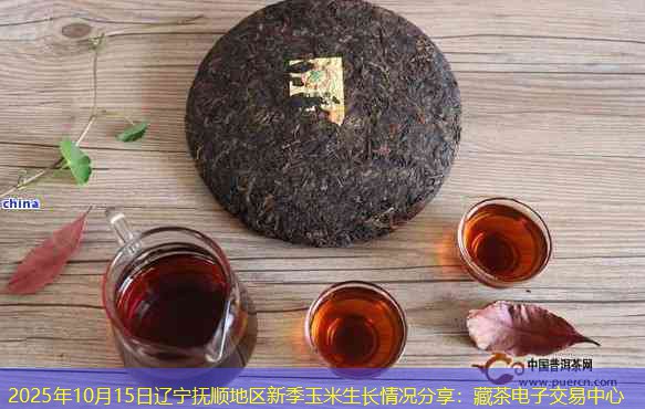 2025年10月15日辽宁抚顺地区新季玉米生长情况分享