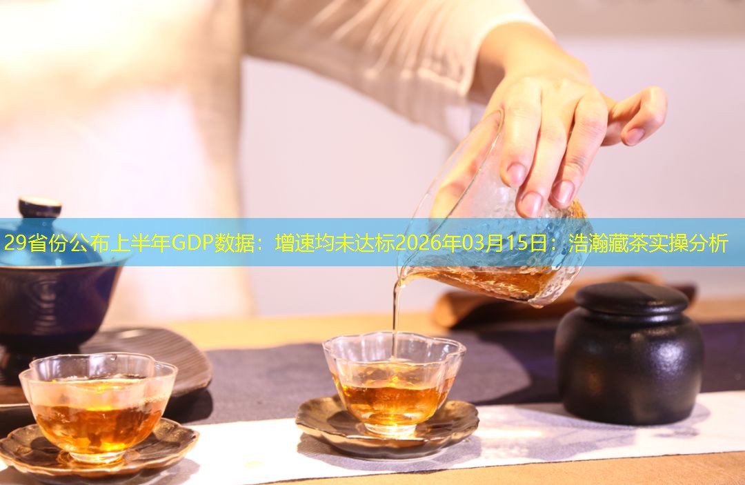29省份公布上半年GDP数据：增速均未达标2026年03月15日
