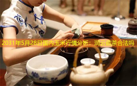 2031年5月28日国内玉米行情分析