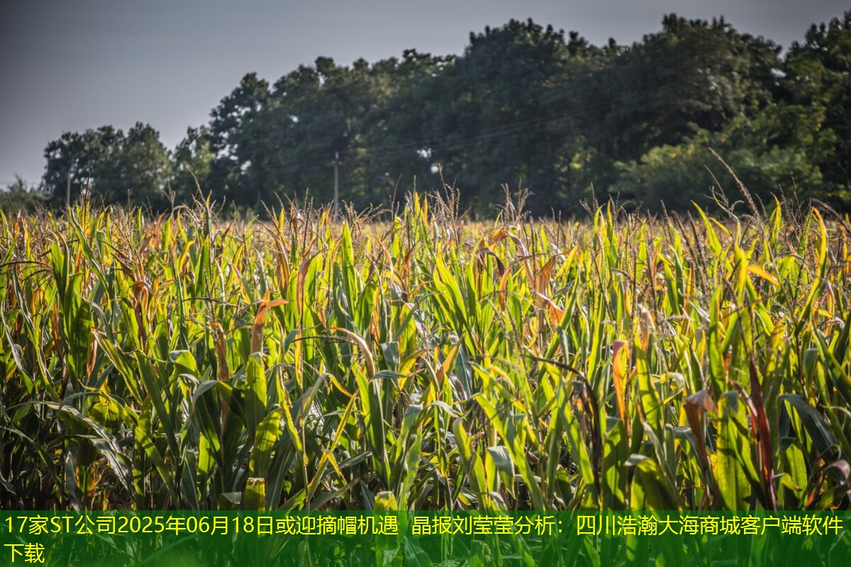 17家ST公司2025年06月18日或迎摘帽机遇 晶报刘莹莹分析：四川浩瀚大海商城客户端软件下载