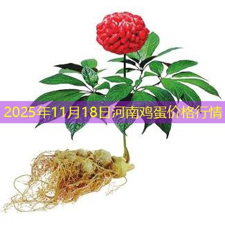 2025年11月18日河南鸡蛋价格行情