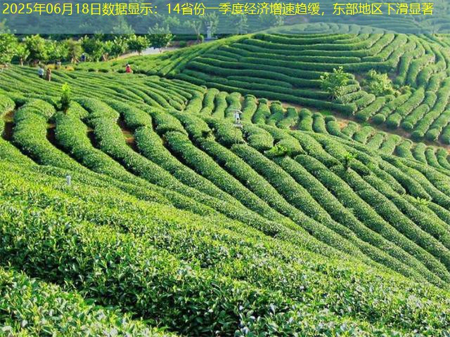 2025年06月18日数据显示：14省份一季度经济增速趋缓，东部地区下滑显著