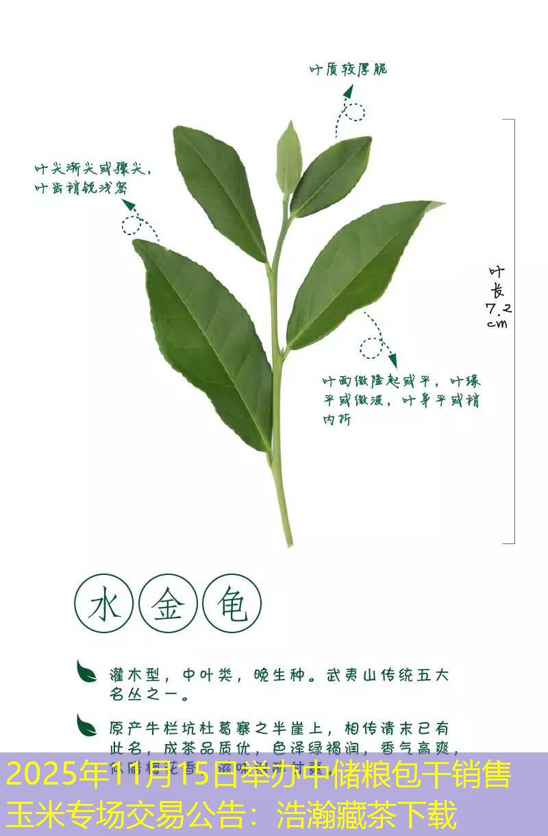 2025年11月15日举办中储粮包干销售玉米专场交易公告