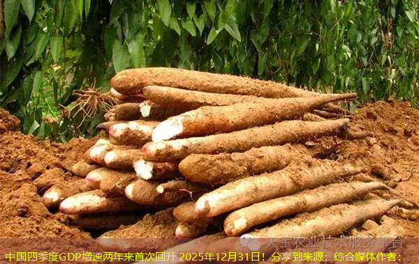 中国四季度GDP增速两年来首次回升 2025年12月31日！分享到来源：综合媒体作者：