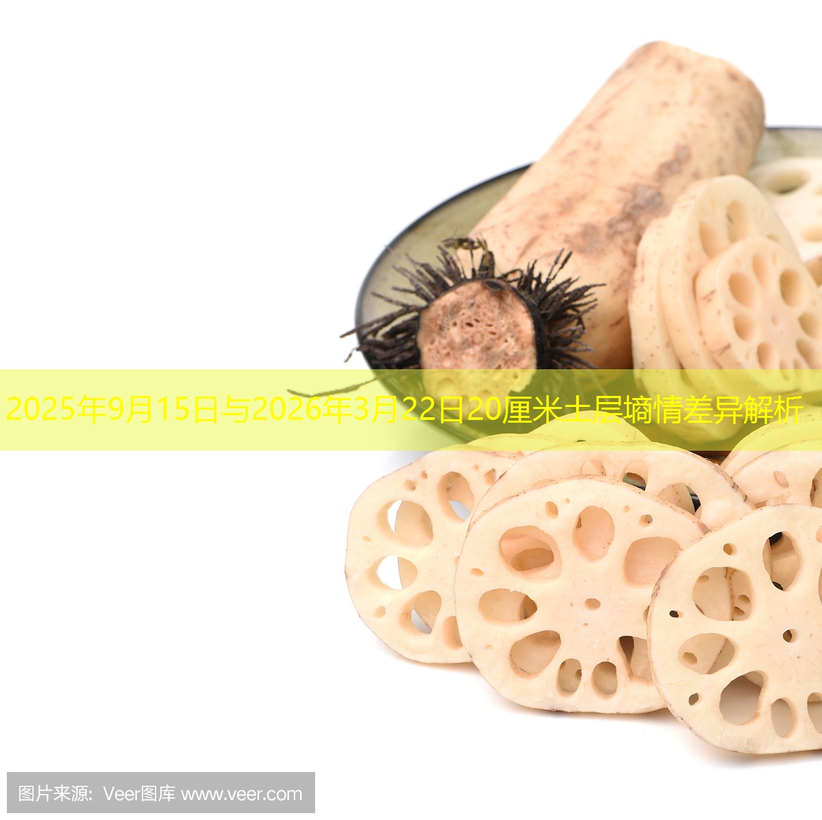 2025年9月15日与2026年3月22日20厘米土层墒情差异解析