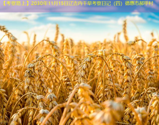 【考察路上】2030年11月15日辽吉内干旱考察日记（四）德惠市郝甲村