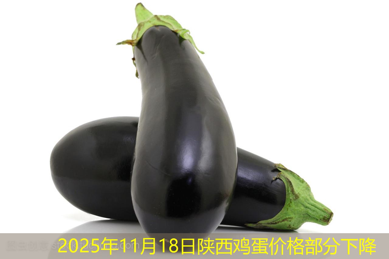 2025年11月18日陕西鸡蛋价格部分下降