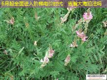 6月起全面进入阶梯电价时代：浩瀚大海犯法吗