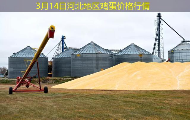 3月14日河北地区鸡蛋价格行情