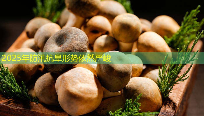 2025年防汛抗旱形势依然严峻