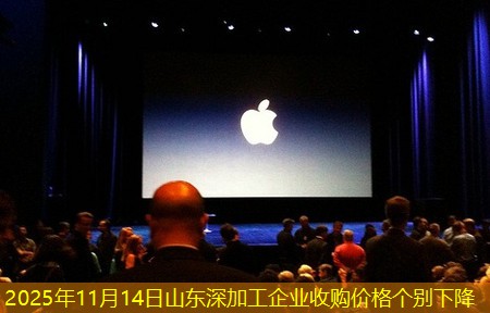 2025年11月14日山东深加工企业收购价格个别下降