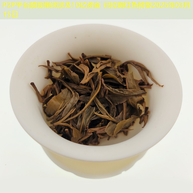 P2P平台频现倒闭涉及10亿资金 已拉响红色预警2025年03月15日