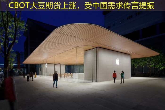 CBOT大豆期货上涨，受中国需求传言提振