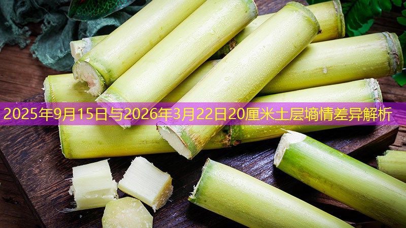 2025年9月15日与2026年3月22日20厘米土层墒情差异解析