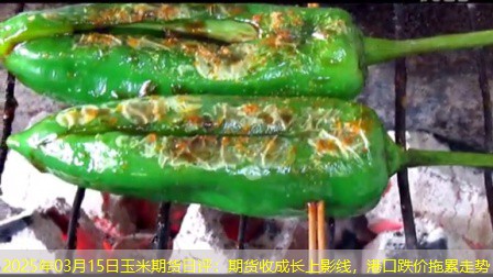 2025年03月15日玉米期货日评：期货收成长上影线，港口跌价拖累走势