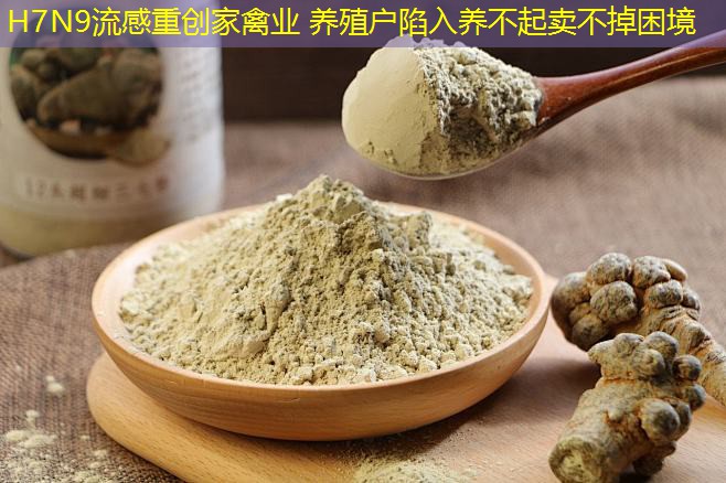 H7N9流感重创家禽业 养殖户陷入养不起卖不掉困境