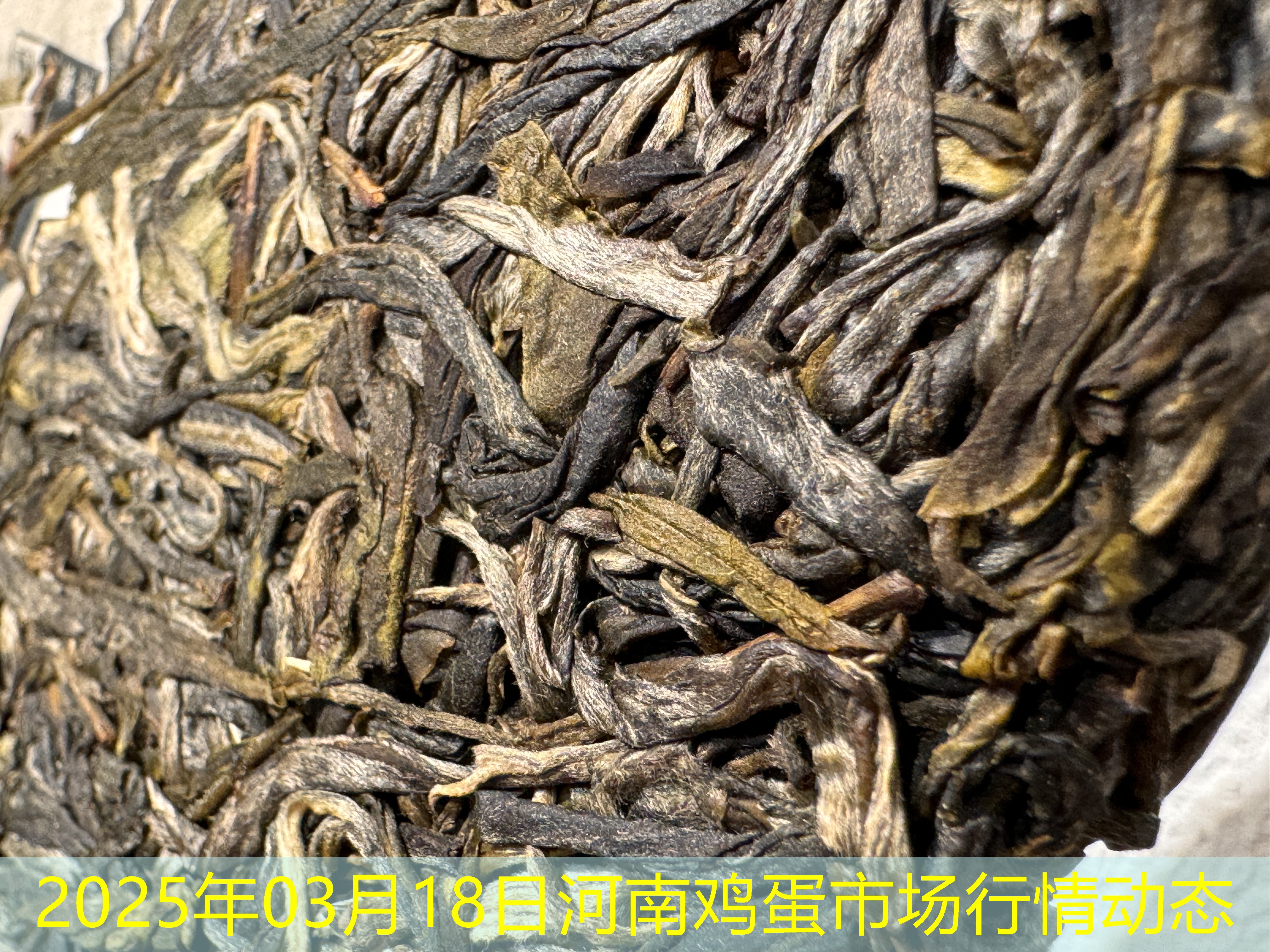2025年03月18日河南鸡蛋市场行情动态