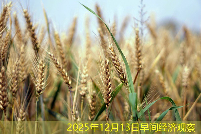 2025年12月13日早间经济观察