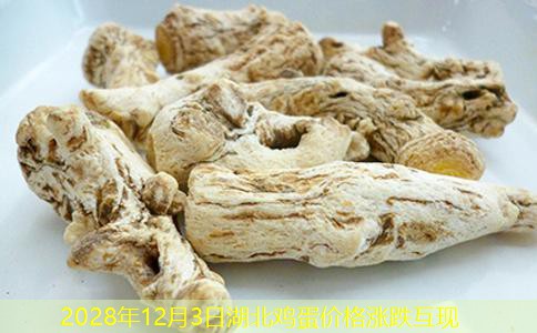 2028年12月3日湖北鸡蛋价格涨跌互现