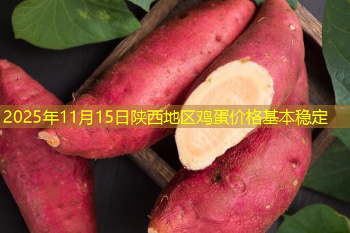 2025年11月15日陕西地区鸡蛋价格基本稳定