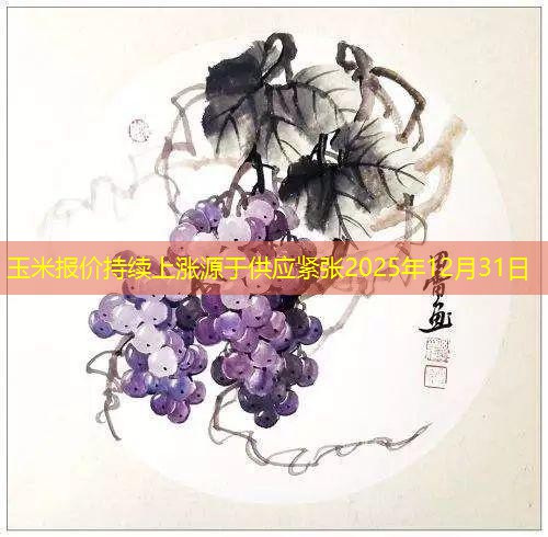 玉米报价持续上涨源于供应紧张2025年12月31日