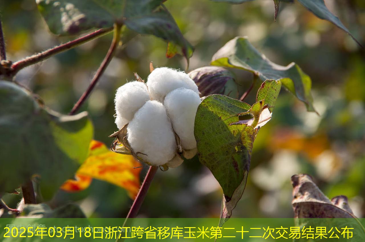 2025年03月18日浙江跨省移库玉米第二十二次交易结果公布