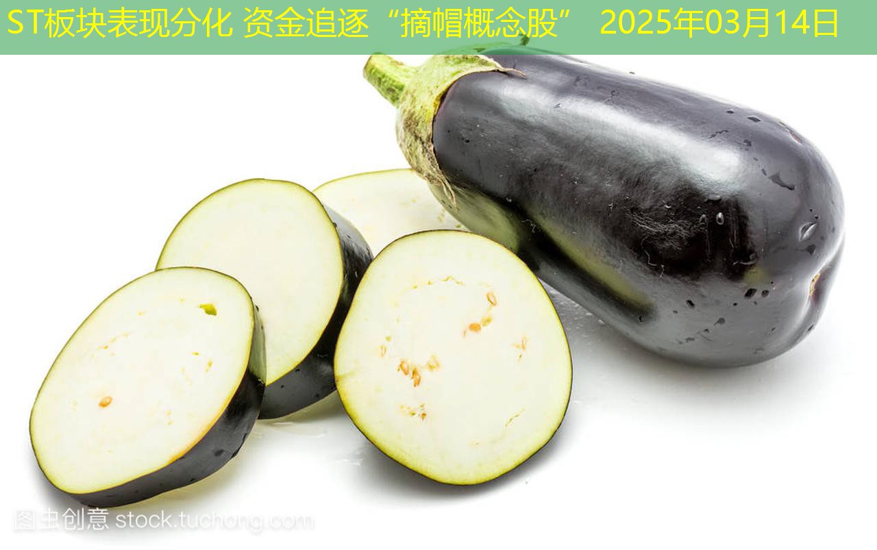 ST板块表现分化 资金追逐“摘帽概念股” 2025年03月14日