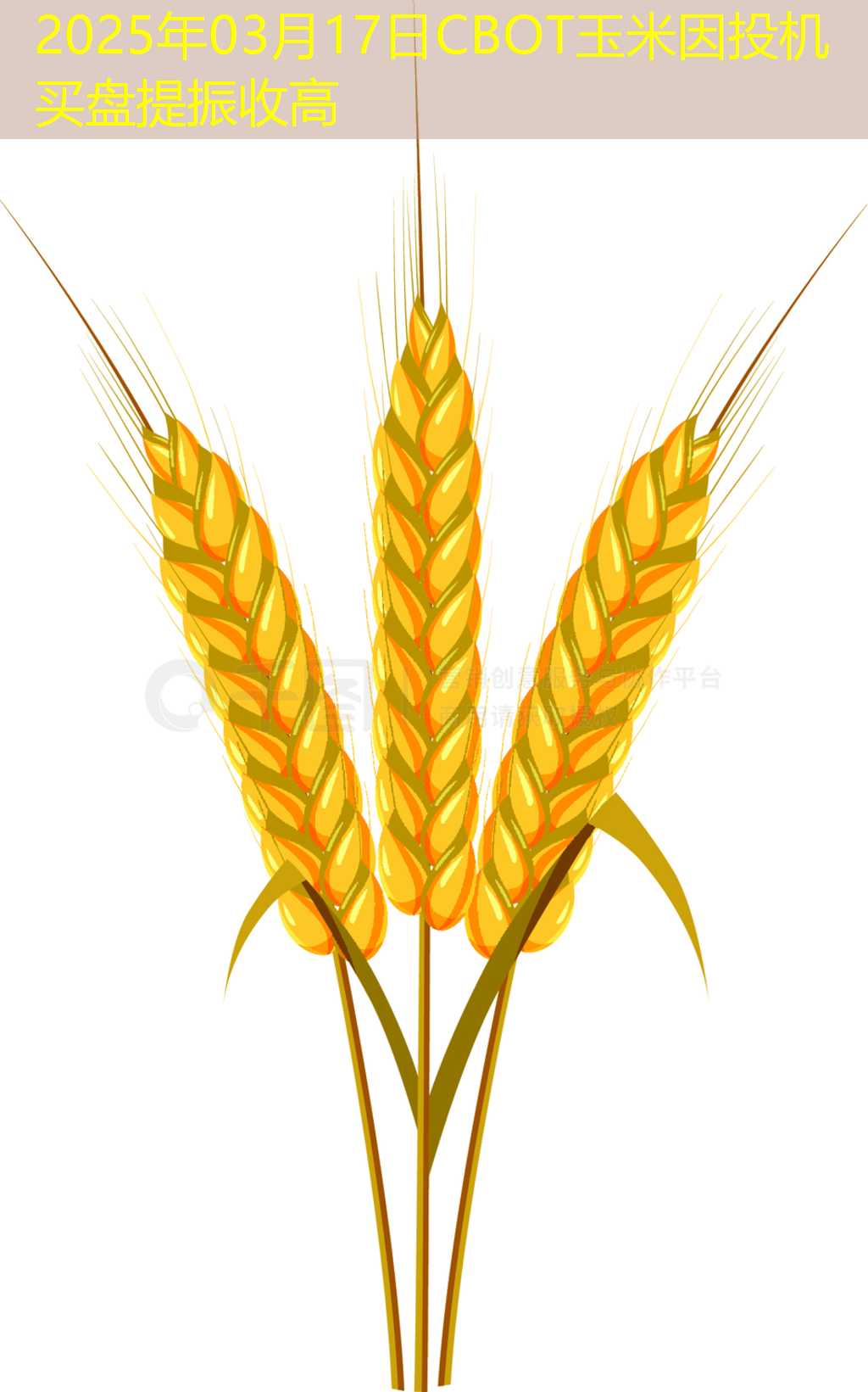 2025年03月17日CBOT玉米因投机买盘提振收高
