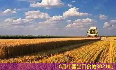 8月中国出口食糖3021吨