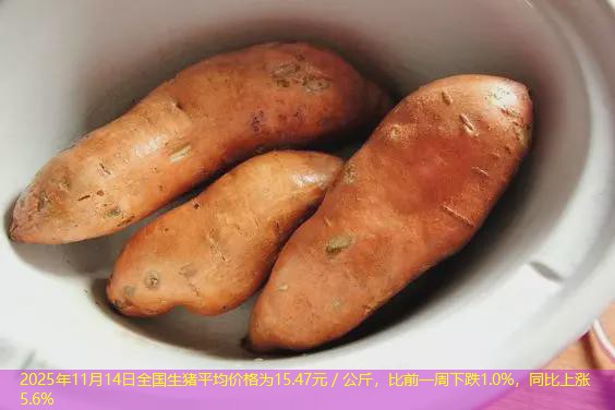 2025年11月14日全国生猪平均价格为15.47元／公斤，比前一周下跌1.0%，同比上涨5.6%
