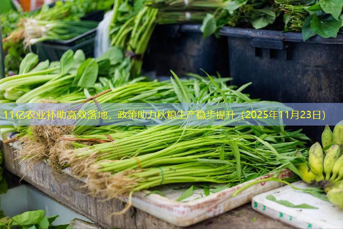 11亿农业补助高效落地，政策助力秋粮生产稳步提升（2025年11月23日）
