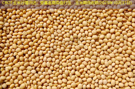 CBOT玉米行情评述：受基金商卖盘打压，玉米期货收跌(2025年10月31日)