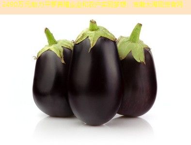 2490万元助力平罗养殖企业和农户实现梦想