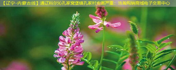 【辽宁-内蒙古线】通辽科尔沁孔家窝堡镇孔家村虫害严重：浩瀚购销商城电子交易中心