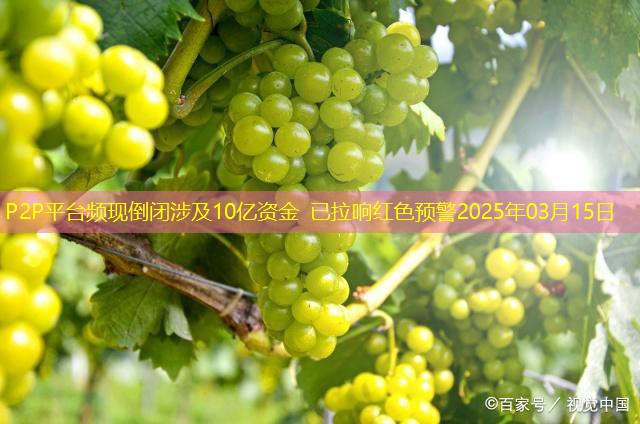 P2P平台频现倒闭涉及10亿资金 已拉响红色预警2025年03月15日