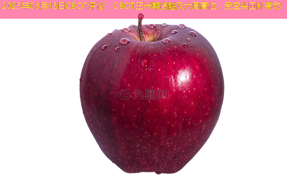2025年03月15日CBOT评论：CBOT玉米期货触及六周高位，受空头回补带动