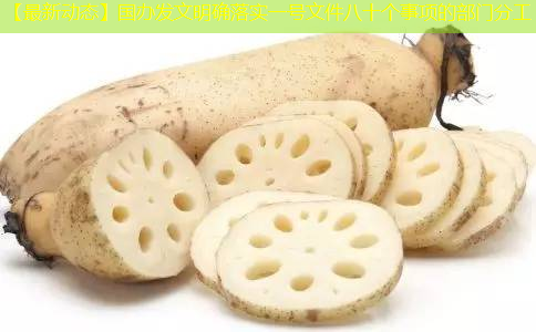 【最新动态】国办发文明确落实一号文件八十个事项的部门分工