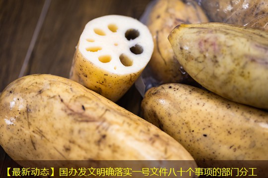 【最新动态】国办发文明确落实一号文件八十个事项的部门分工