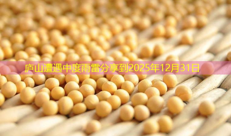 庐山遭遇中度雨雷分享到2025年12月31日