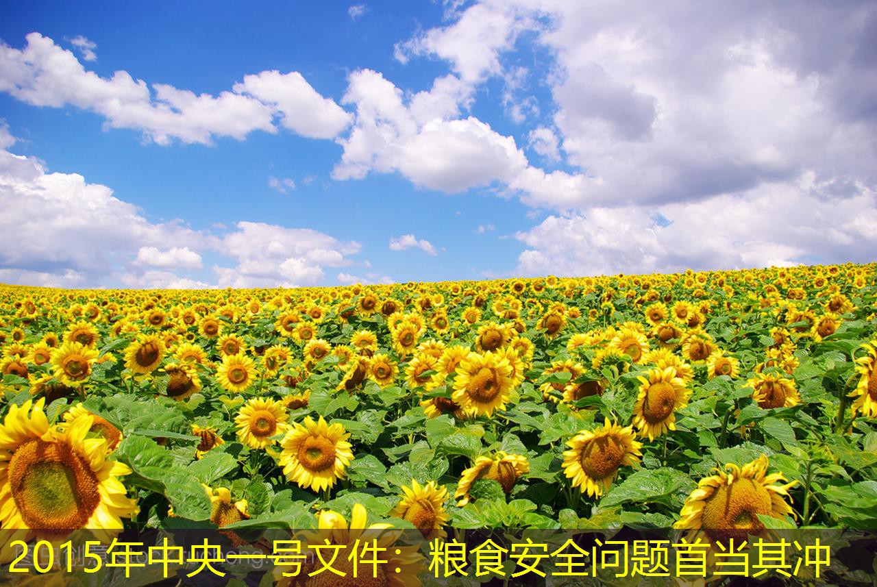 2015年中央一号文件：粮食安全问题首当其冲