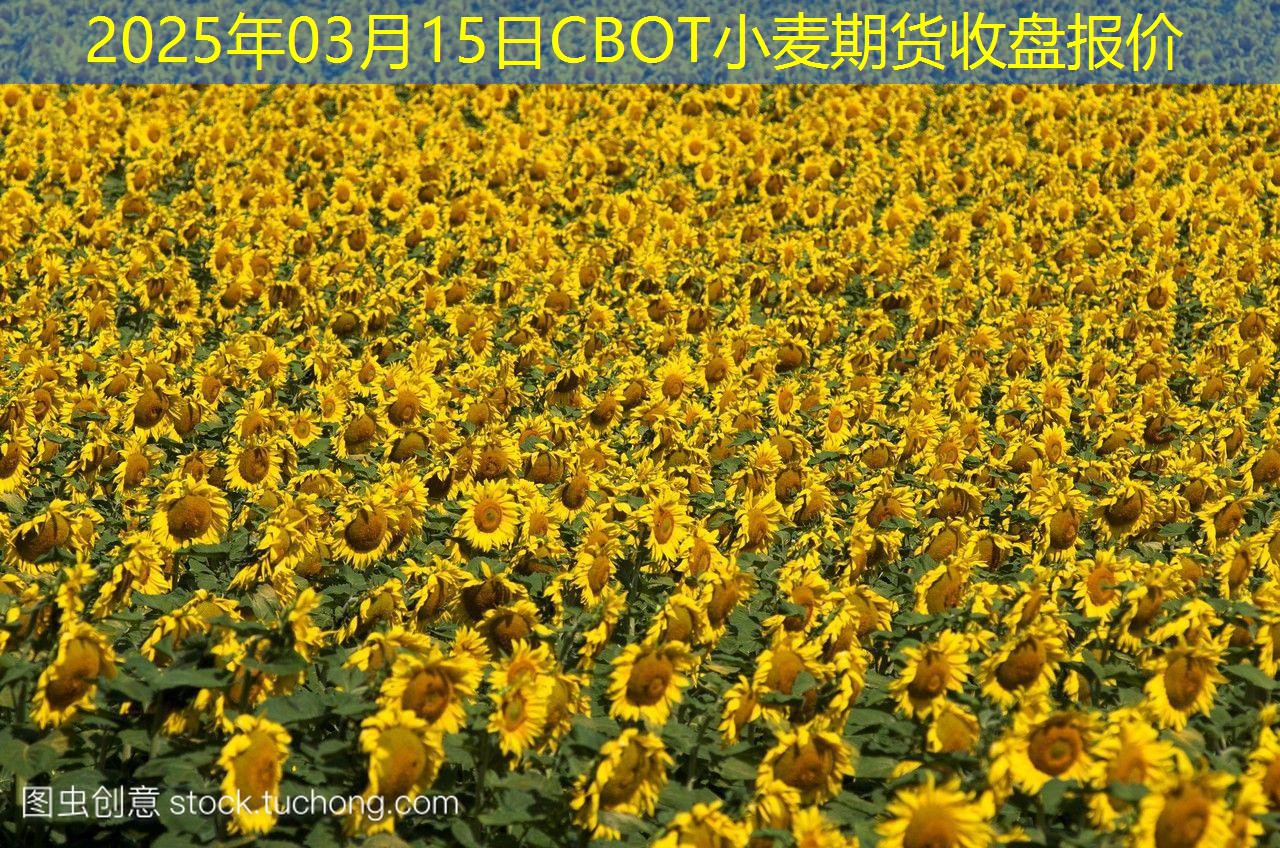 2025年03月15日CBOT小麦期货收盘报价