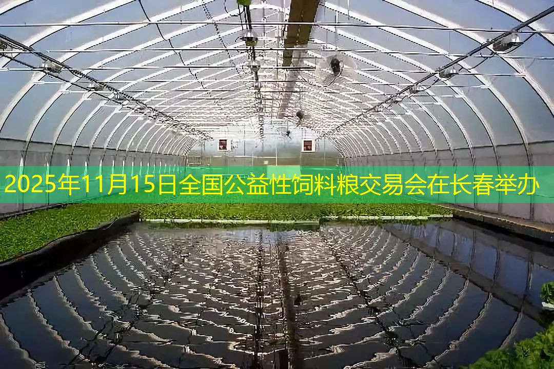 2025年11月15日全国公益性饲料粮交易会在长春举办