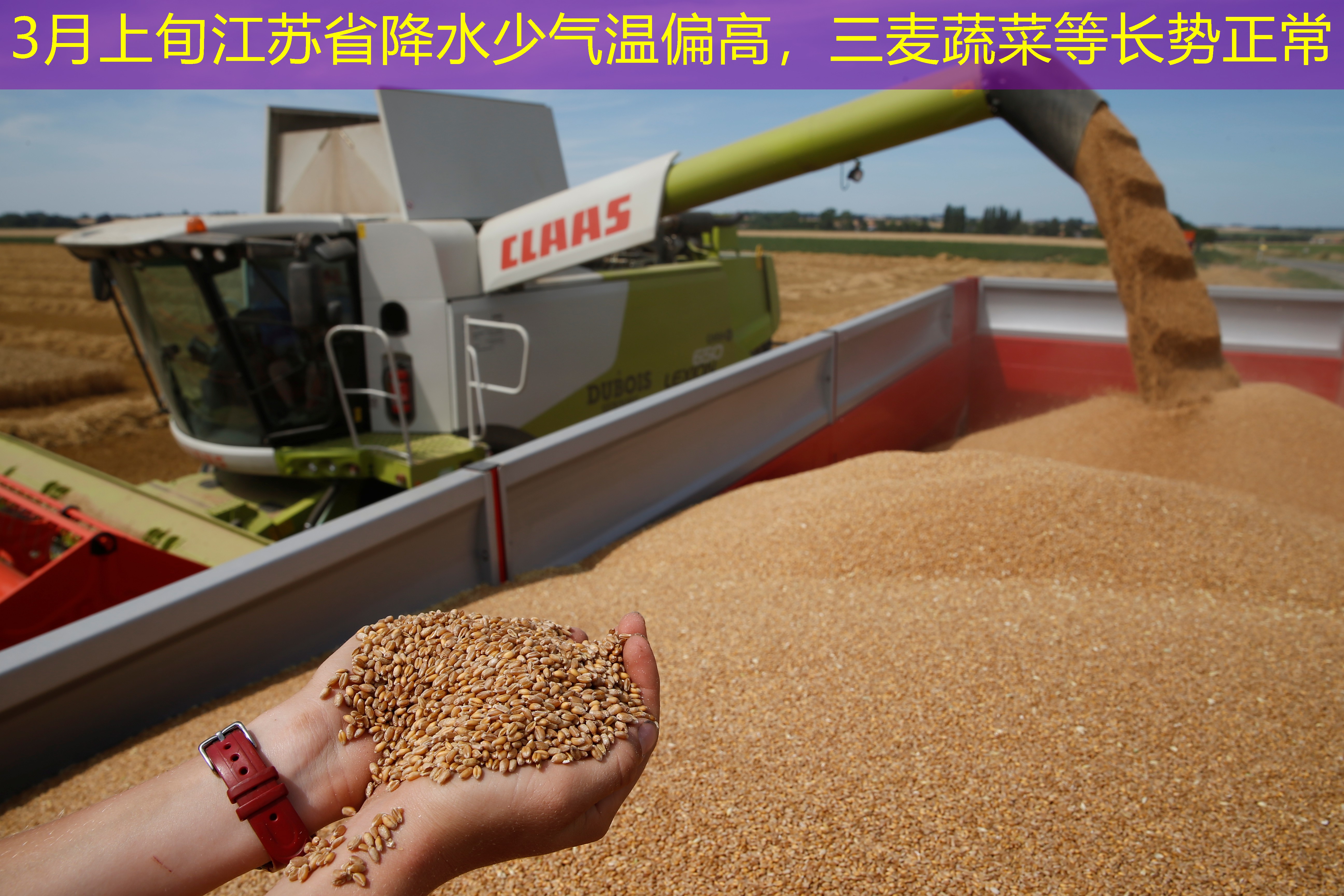 3月上旬江苏省降水少气温偏高，三麦蔬菜等长势正常