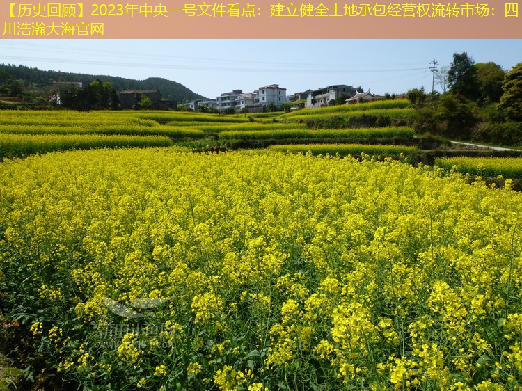 【历史回顾】2023年中央一号文件看点：建立健全土地承包经营权流转市场：四川浩瀚大海官网