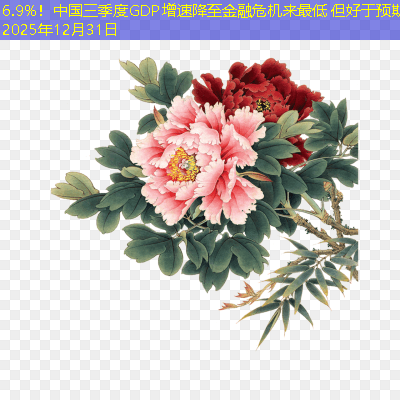 6.9%！中国三季度GDP增速降至金融危机来最低 但好于预期2025年12月31日