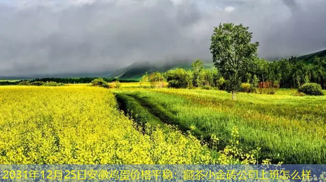 2031年12月25日安徽鸡蛋价格平稳