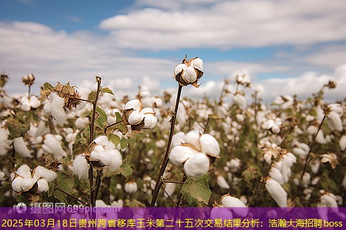 2025年03月18日贵州跨省移库玉米第二十五次交易结果分析：浩瀚大海招聘boss
