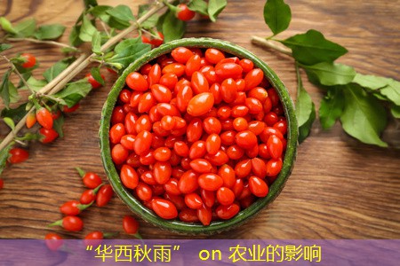 “华西秋雨” on 农业的影响