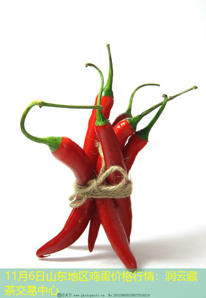 11月6日山东地区鸡蛋价格行情：润云藏茶交易中心